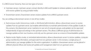 Comprehensive Guide to Windows Server Update and DNS Security ...