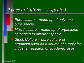 Types of Culture – ( specie )
            s Pure culture – made up of only one
              pure specie
            s Mixed culture – made up of organisms
              belonging to different specie
            s Stock Culture – pure culture of
              organism used as a source of supply for
              industry, research or academic uses.


Microbiology - HTL                                      1
 