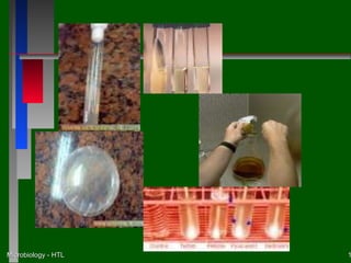 Microbiology - HTL   1
 