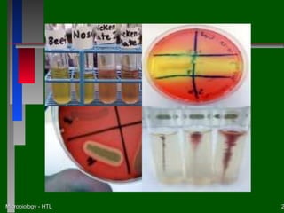 Microbiology - HTL   2
 