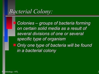 Bacterial Colony:
            s Colonies – groups of bacteria forming
              on certain solid media as a result of
              several divisions of one or several
              specific type of organism
            s Only one type of bacteria will be found
              in a bacterial colony



Microbiology - HTL                                      2
 