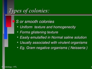 Types of colonies:
            s   S or smooth colonies
                     •   Uniform texture and homogenecity
                     •   Forms glistening texture
                     •   Easily emulsified in Normal saline solution
                     •   Usually associated with virulent organisms
                     •   Eg. Gram negative organisms ( Neisseria )




Microbiology - HTL                                                     2
 