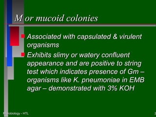 M or mucoid colonies
            s Associated with capsulated & virulent
              organisms
            s Exhibits slimy or watery confluent
              appearance and are positive to string
              test which indicates presence of Gm –
              organisms like K. pneumoniae in EMB
              agar – demonstrated with 3% KOH


Microbiology - HTL                                    2
 