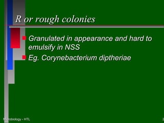 R or rough colonies
            s Granulated in appearance and hard to
              emulsify in NSS
            s Eg. Corynebacterium diptheriae




Microbiology - HTL                                   2
 