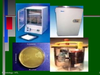 Microbiology - HTL   3
 