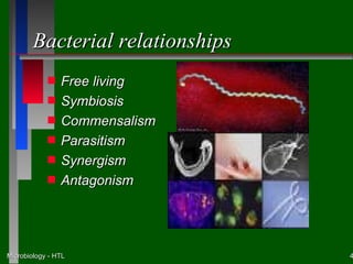 Bacterial relationships
            s   Free living
            s   Symbiosis
            s   Commensalism
            s   Parasitism
            s   Synergism
            s   Antagonism




Microbiology - HTL                4
 