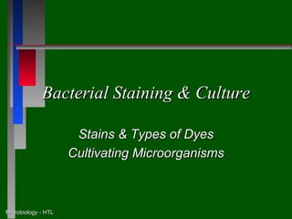 Bacterial Staining & Culture

                      Stains & Types of Dyes
                     Cultivating Microorganisms



Microbiology - HTL
 
