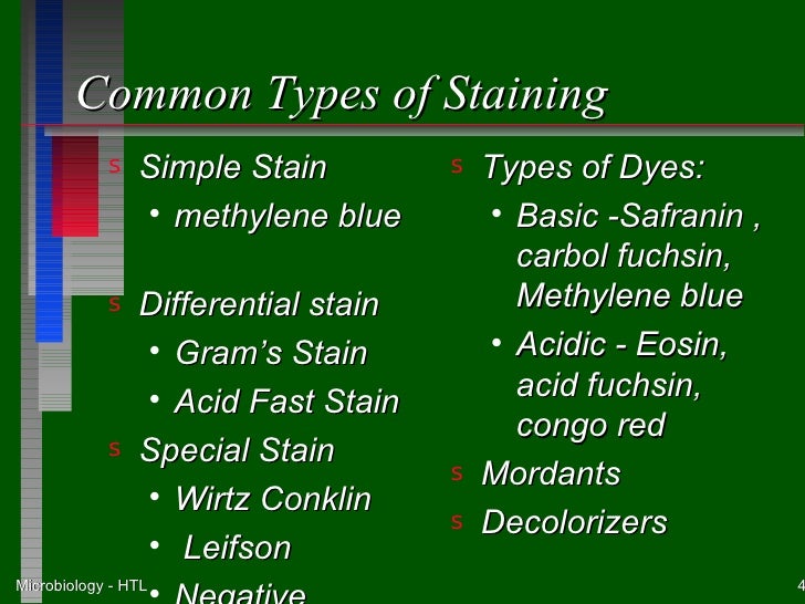 Module 3a culture and staining
