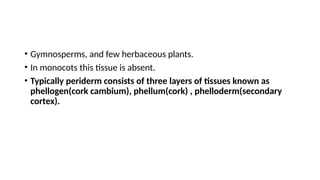 • Gymnosperms, and few herbaceous plants.
• In monocots this tissue is absent.
• Typically periderm consists of three layers of tissues known as
phellogen(cork cambium), phellum(cork) , phelloderm(secondary
cortex).
 