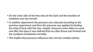 • On the inner side of the free strip of the bark and the function of
cambium was not normal.
• In another experiment the pressure was released according to the
previous experiment and then the pressure was applied by binding
the strip of bark with the tree. Aseptic measures were taken as usual
and after few days it was noticed that no callus tissue was formed and
the cambium functioned normally.
• This implies that pressure influences the normal cambial activity.
 