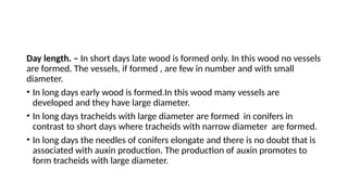 Day length. – In short days late wood is formed only. In this wood no vessels
are formed. The vessels, if formed , are few in number and with small
diameter.
• In long days early wood is formed.In this wood many vessels are
developed and they have large diameter.
• In long days tracheids with large diameter are formed in conifers in
contrast to short days where tracheids with narrow diameter are formed.
• In long days the needles of conifers elongate and there is no doubt that is
associated with auxin production. The production of auxin promotes to
form tracheids with large diameter.
 