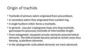 Origin of trachids
• Tracheids of primary xylem originated from procambium.
• In secondary xylem they originated from cambial ring.
• A single fusiform initial forms a tracheids.
• In general , vascular cryptograms have very long tracheids,
gymnosperms processes tracheids of intermediate length.
• From ontogenetic viewpoint annular elements proceed helical
elements. The helical bands became joined at certain areas thus
forming scalariform elements.
• In the phylogenetic scale pitted elements are most advanced.
 