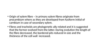 • Origin of xylem fibre – in primary xylem fibres originate from
procambium where as they are developed from fusiform initial of
cambium in case of secondary xylem.
• Fibres and tracheids are phylogenetic ally related and it is suggested
that the former evolved from the latter. During evolution the length of
the fibre decreased, the bordered pits reduced in size and the
thickness of the cell wall increased.
 