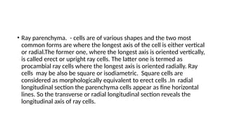 • Ray parenchyma. - cells are of various shapes and the two most
common forms are where the longest axis of the cell is either vertical
or radial.The former one, where the longest axis is oriented vertically,
is called erect or upright ray cells. The latter one is termed as
procambial ray cells where the longest axis is oriented radially. Ray
cells may be also be square or isodiametric. Square cells are
considered as morphologically equivalent to erect cells .In radial
longitudinal section the parenchyma cells appear as fine horizontal
lines. So the transverse or radial longitudinal section reveals the
longitudinal axis of ray cells.
 