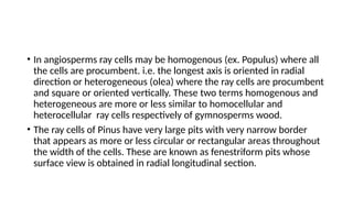 • In angiosperms ray cells may be homogenous (ex. Populus) where all
the cells are procumbent. i.e. the longest axis is oriented in radial
direction or heterogeneous (olea) where the ray cells are procumbent
and square or oriented vertically. These two terms homogenous and
heterogeneous are more or less similar to homocellular and
heterocellular ray cells respectively of gymnosperms wood.
• The ray cells of Pinus have very large pits with very narrow border
that appears as more or less circular or rectangular areas throughout
the width of the cells. These are known as fenestriform pits whose
surface view is obtained in radial longitudinal section.
 