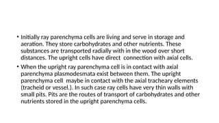 • Initially ray parenchyma cells are living and serve in storage and
aeration. They store carbohydrates and other nutrients. These
substances are transported radially with in the wood over short
distances. The upright cells have direct connection with axial cells.
• When the upright ray parenchyma cell is in contact with axial
parenchyma plasmodesmata exist between them. The upright
parenchyma cell maybe in contact with the axial tracheary elements
(tracheid or vessel.). In such case ray cells have very thin walls with
small pits. Pits are the routes of transport of carbohydrates and other
nutrients stored in the upright parenchyma cells.
 