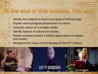 explain anthropological and sociological perspectives on culture and society