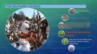 THE SOUTHERN COLONIES
Southern
Colonies
Maryland, Virginia, North
Carolina, South Carolina and
Georgia
These people came to make money.
I Because they had large plantations they needed
workers to work the land which led to bringing of
large number of slaves to work for them. James
Oglethorpe tried to develop Georgia as a utopian
experiment.”
Cash crop plantation
system.
They were not as healthy-many
died from typhoid, malaria,
yellow fever.
Usually did not come with
families, single men.
 