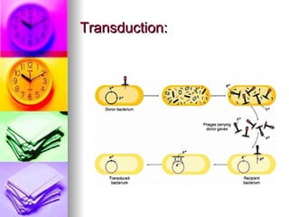 Transduction:
 