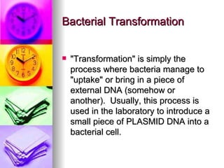 Bacterial Transformation


   "Transformation" is simply the
    process where bacteria manage to
    "uptake" or bring in a piece of
    external DNA (somehow or
    another). Usually, this process is
    used in the laboratory to introduce a
    small piece of PLASMID DNA into a
    bacterial cell.
 
