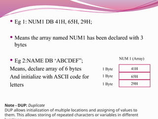  Eg 1: NUM1 DB 41H, 65H, 29H;
 Means the array named NUM1 has been declared with 3
bytes
 Eg 2:NAME DB ‘ABCDEF”;
Means, declare array of 6 bytes
And initialize with ASCII code for
letters
41H
65H
29H
NUM 1 (Array)
1 Byte
1 Byte
1 Byte
Note - DUP: Duplicate
DUP allows initialization of multiple locations and assigning of values to
them. This allows storing of repeated characters or variables in different
 
