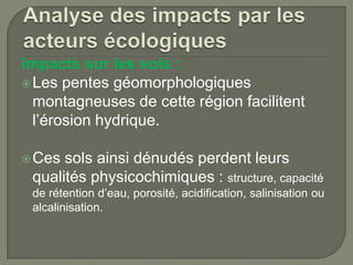 Impacts sur les sols :
 Les pentes géomorphologiques
montagneuses de cette région facilitent
l’érosion hydrique.
 Ces

sols ainsi dénudés perdent leurs
qualités physicochimiques : structure, capacité
de rétention d’eau, porosité, acidification, salinisation ou
alcalinisation.

 