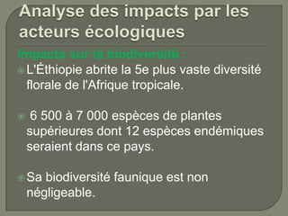 Impacts sur la biodiversité :
 L'Éthiopie abrite la 5e plus vaste diversité
florale de l'Afrique tropicale.


6 500 à 7 000 espèces de plantes
supérieures dont 12 espèces endémiques
seraient dans ce pays.

 Sa

biodiversité faunique est non
négligeable.

 