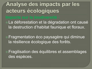 Impacts sur la biodiversité :
 La déforestation et la dégradation ont causé
la destruction d’habitat faunique et floraux.
 Fragmentation

éco paysagère qui diminue
la résilience écologique des forêts.

 Fragilisation

des équilibres et assemblages
des espèces.

 