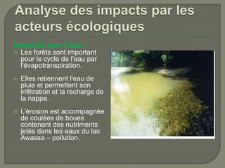 Impacts sur l’eau :


Les forêts sont important
pour le cycle de l'eau par
l'évapotranspiration.



Elles retiennent l'eau de
pluie et permettent son
infiltration et la recharge de
la nappe.



L’érosion est accompagnée
de coulées de boues
contenant des nutriments
jetés dans les eaux du lac
Awassa – pollution.

 