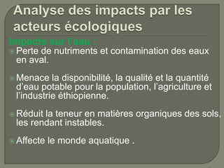 Impacts sur l’eau :
 Perte

de nutriments et contamination des eaux
en aval.

 Menace

la disponibilité, la qualité et la quantité
d’eau potable pour la population, l’agriculture et
l’industrie éthiopienne.

 Réduit

la teneur en matières organiques des sols,
les rendant instables.

 Affecte

le monde aquatique .

 