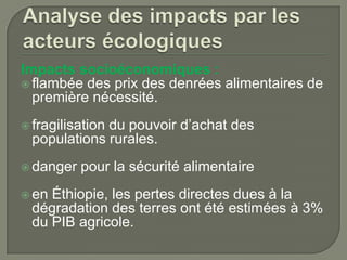 Impacts socioéconomiques :
 flambée des prix des denrées alimentaires de
première nécessité.
 fragilisation

du pouvoir d’achat des
populations rurales.

 danger
 en

pour la sécurité alimentaire

Éthiopie, les pertes directes dues à la
dégradation des terres ont été estimées à 3%
du PIB agricole.

 