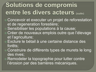  Concevoir

et executer un projet de reforestation
et de regeneration forestière;
 Sensibiliser les populations à la cause;
 Créer de nouveaux emplois outre que l’élevage
et l’agriculture;
 Exclure le bétail à une certaine distance des
forêts;
 Construire de différents types de murets le long
des rives;
 Remodeler la topographie pour lutter contre
l’érosion par des barrières mécaniques.

 