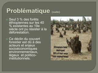 

Seul 3 % des forêts
éthiopiennes sur les 40
% existantes au 19e
siècle ont pu résister à la
déforestation.



Ce déclin du couvert
forestier est dû à des
acteurs et enjeux
socioéconomiques
environnementaux,
légaux et politicoinstitutionnels.

 
