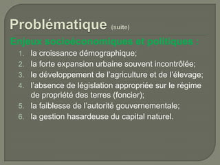 Enjeux socioéconomiques et politiques :
1. la croissance démographique;
2. la forte expansion urbaine souvent incontrôlée;
3. le développement de l’agriculture et de l’élevage;
4. l’absence de législation appropriée sur le régime

de propriété des terres (foncier);
5. la faiblesse de l’autorité gouvernementale;
6. la gestion hasardeuse du capital naturel.

 