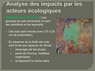 Impacts sur les sols : Les
groupes de sols dominants ici sont
les cambisols et les leptosols.


Ces sols sont minces avec (15 à 20
cm de profondeur).



En absence de la forêt ces sols
sont livrés aux rigueurs du climat :
1. lessivage par les pluies;
2. perte de l'humus, matières
organiques;
3. et exposent la roche-mère.

 