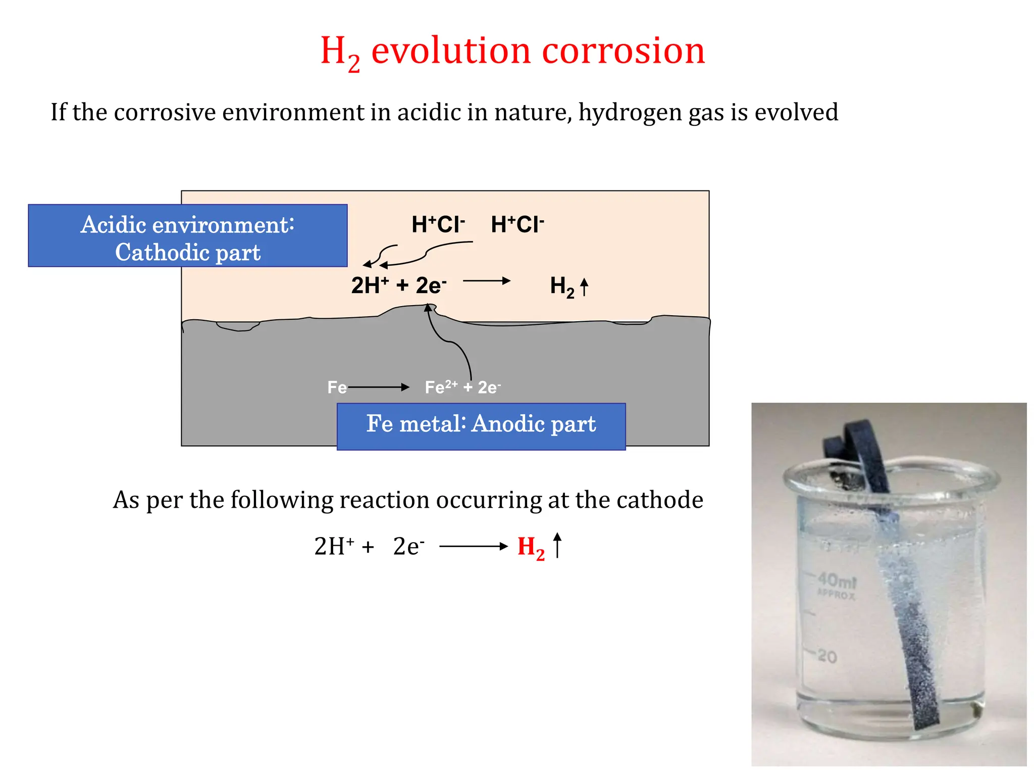 If the corrosive environment in acidic in nature, hydrogen gas is evolved
Fe metal: Anodic part
Fe Fe2+ + 2e-
Acidic environment:
Cathodic part
2H+ + 2e- H2
H+Cl- H+Cl-
As per the following reaction occurring at the cathode
2H+ + 2e- H2
H2 evolution corrosion
 