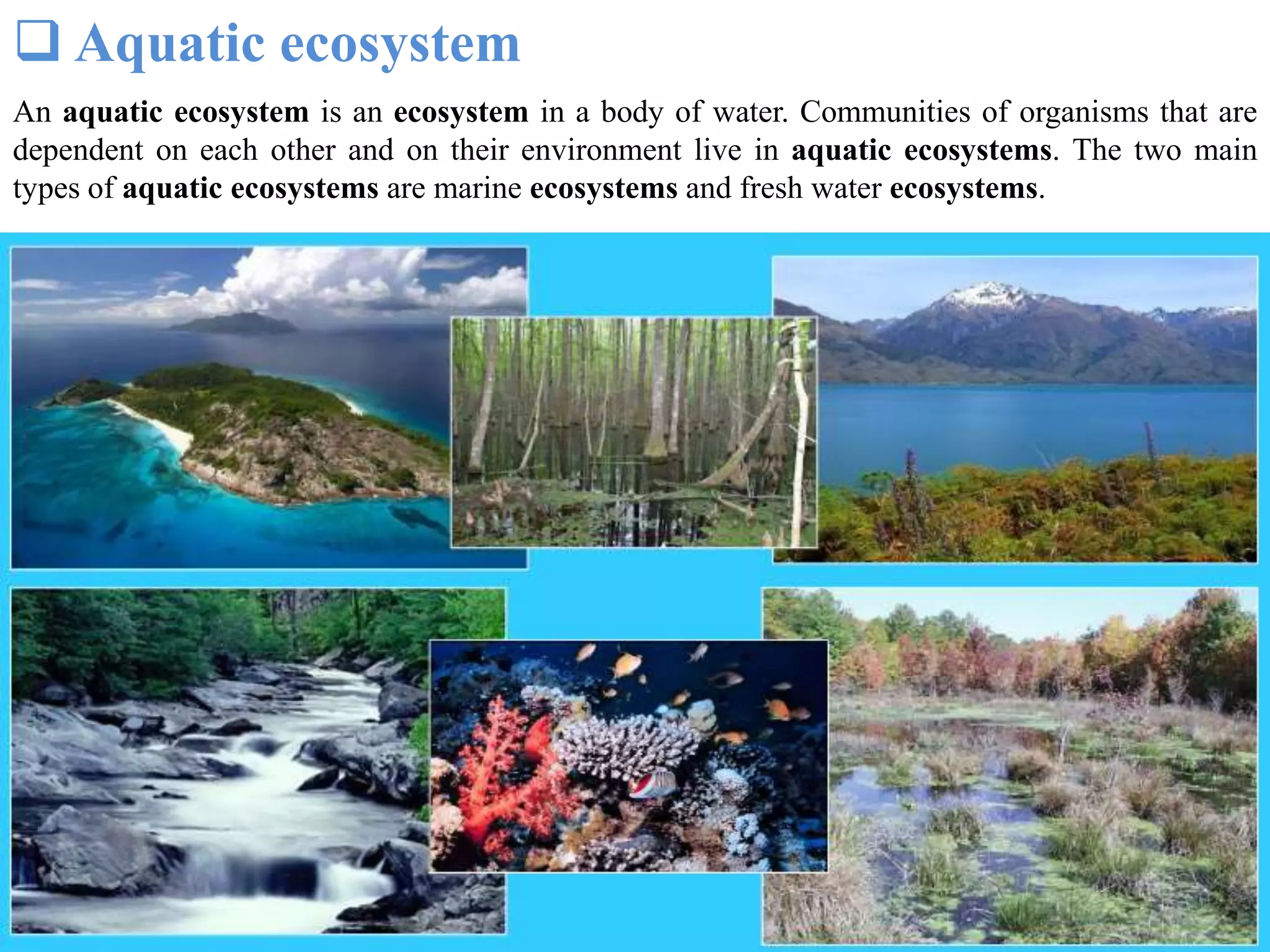  Aquatic ecosystem
An aquatic ecosystem is an ecosystem in a body of water. Communities of organisms that are
dependent on each other and on their environment live in aquatic ecosystems. The two main
types of aquatic ecosystems are marine ecosystems and fresh water ecosystems.
 