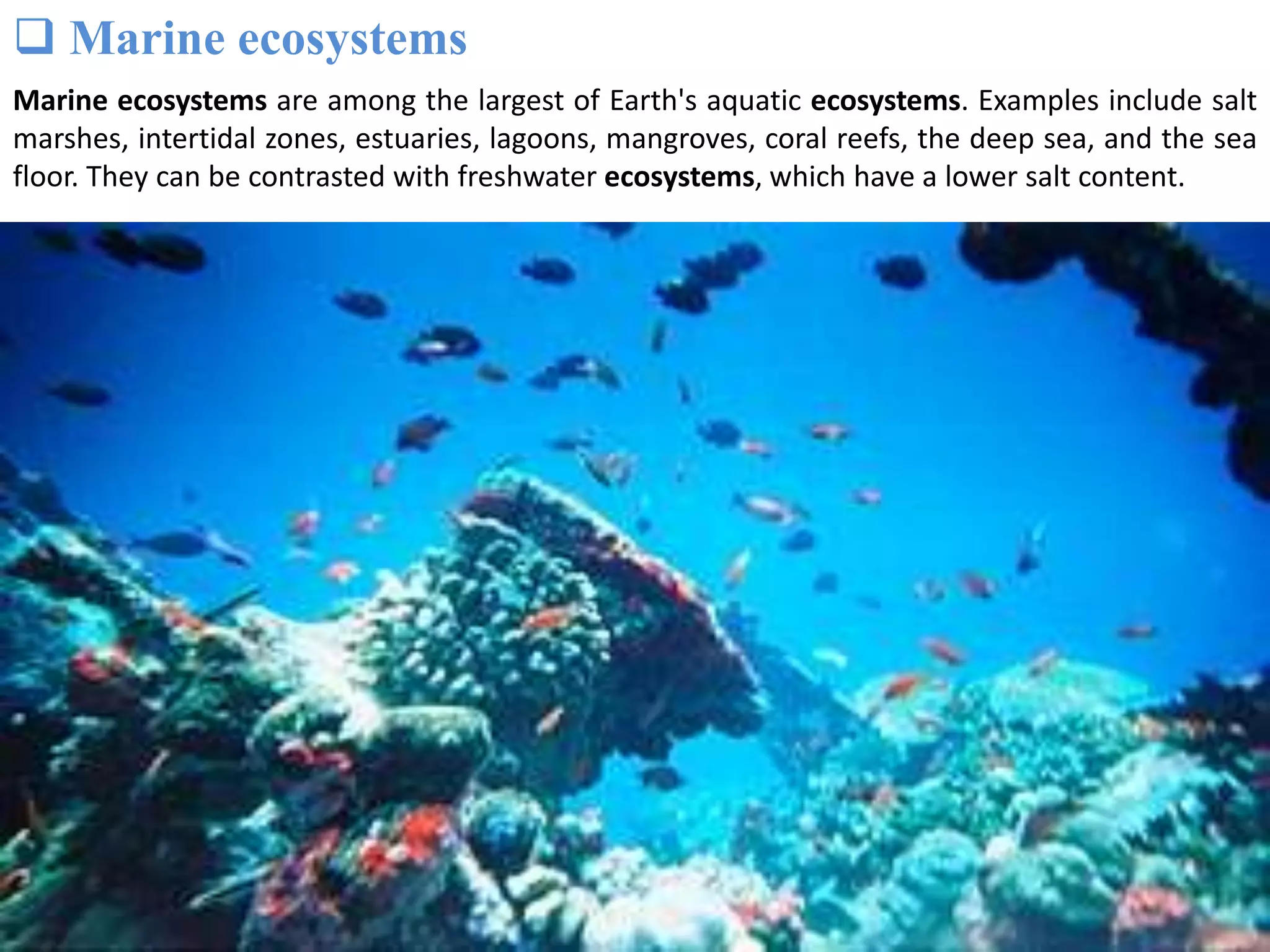  Marine ecosystems
Marine ecosystems are among the largest of Earth's aquatic ecosystems. Examples include salt
marshes, intertidal zones, estuaries, lagoons, mangroves, coral reefs, the deep sea, and the sea
floor. They can be contrasted with freshwater ecosystems, which have a lower salt content.
 