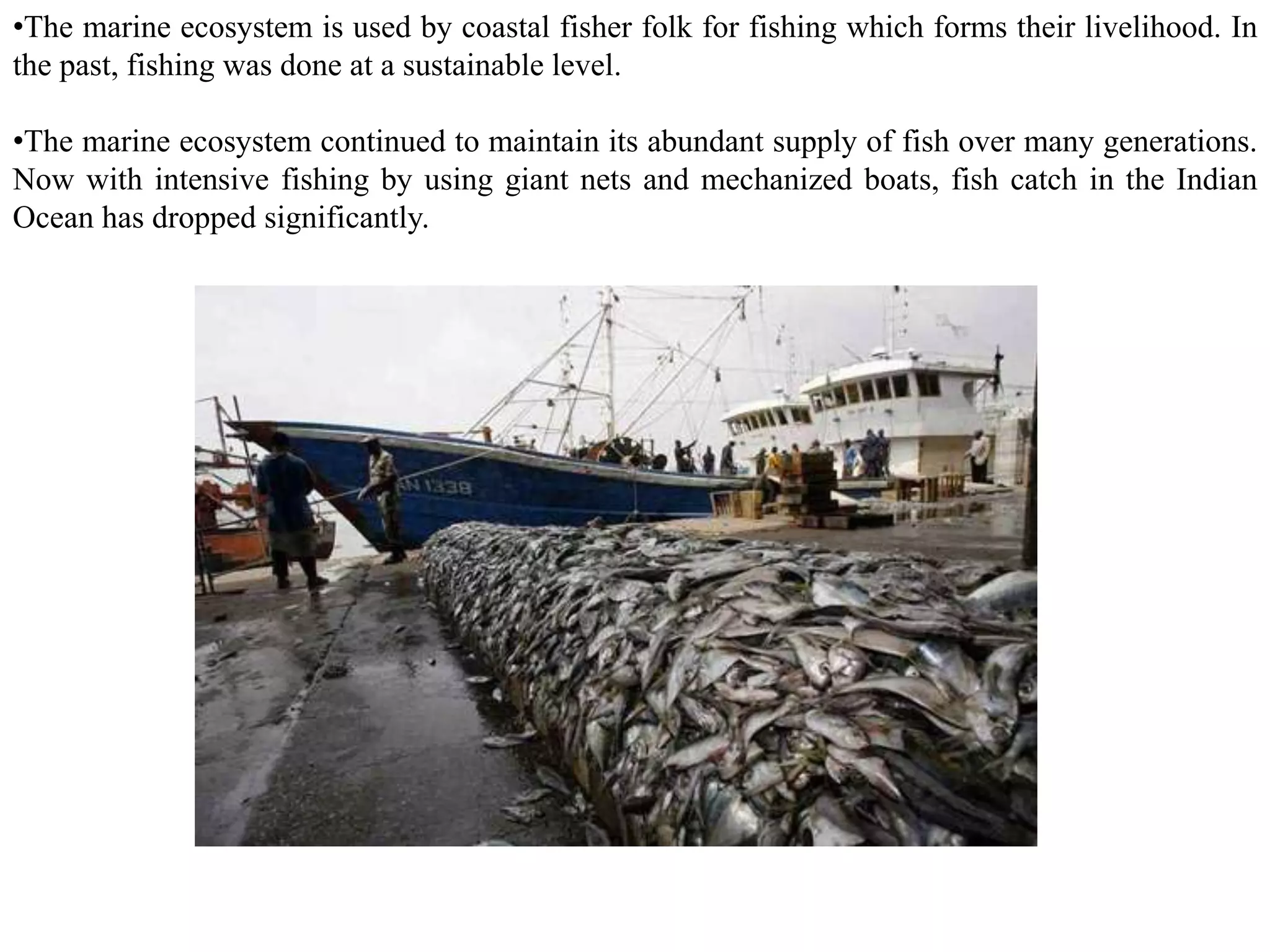 •The marine ecosystem is used by coastal fisher folk for fishing which forms their livelihood. In
the past, fishing was done at a sustainable level.
•The marine ecosystem continued to maintain its abundant supply of fish over many generations.
Now with intensive fishing by using giant nets and mechanized boats, fish catch in the Indian
Ocean has dropped significantly.
 
