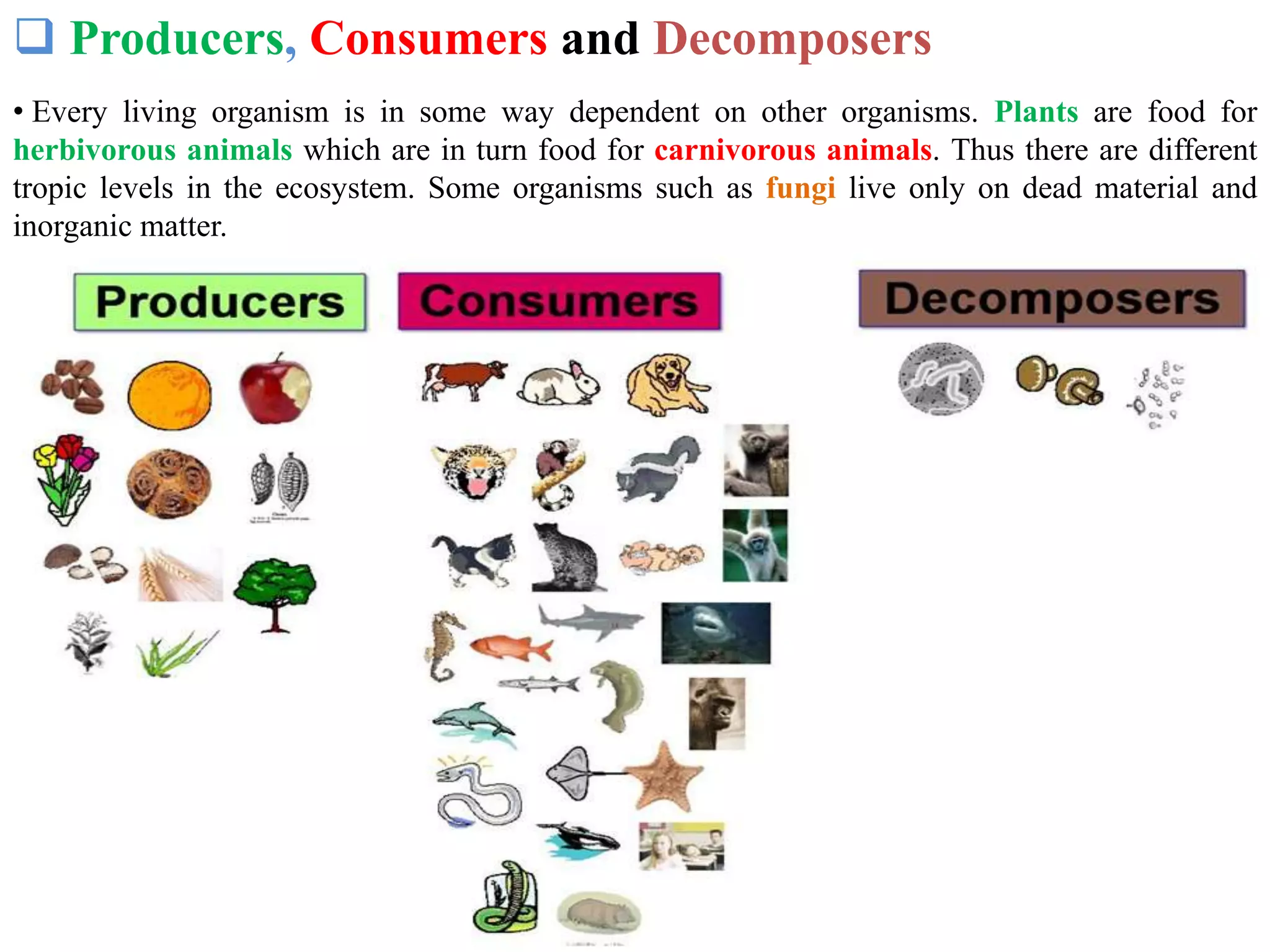  Producers, Consumers and Decomposers
• Every living organism is in some way dependent on other organisms. Plants are food for
herbivorous animals which are in turn food for carnivorous animals. Thus there are different
tropic levels in the ecosystem. Some organisms such as fungi live only on dead material and
inorganic matter.
 