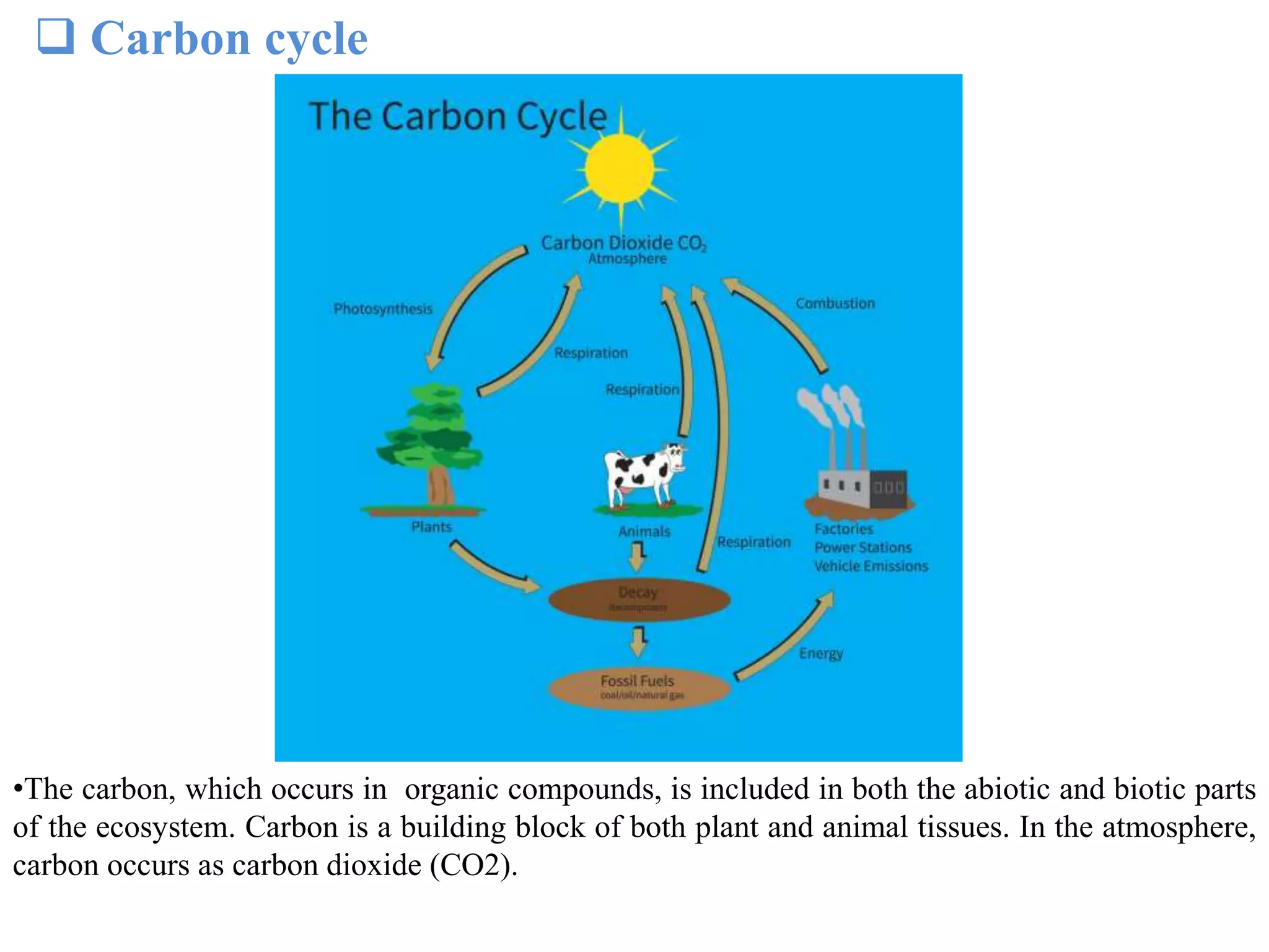 Carbon cycle
•The carbon, which occurs in organic compounds, is included in both the abiotic and biotic parts
of the ecosystem. Carbon is a building block of both plant and animal tissues. In the atmosphere,
carbon occurs as carbon dioxide (CO2).
 