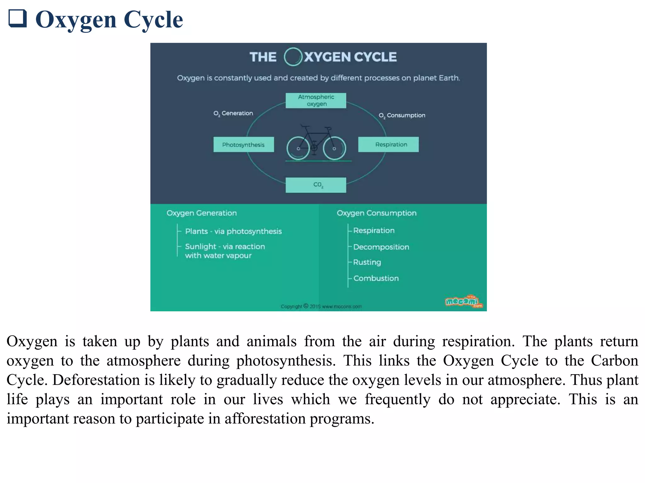  Oxygen Cycle
Oxygen is taken up by plants and animals from the air during respiration. The plants return
oxygen to the atmosphere during photosynthesis. This links the Oxygen Cycle to the Carbon
Cycle. Deforestation is likely to gradually reduce the oxygen levels in our atmosphere. Thus plant
life plays an important role in our lives which we frequently do not appreciate. This is an
important reason to participate in afforestation programs.
 
