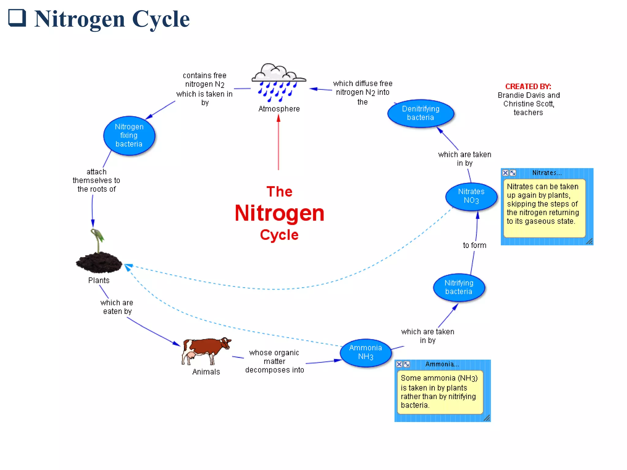  Nitrogen Cycle
 