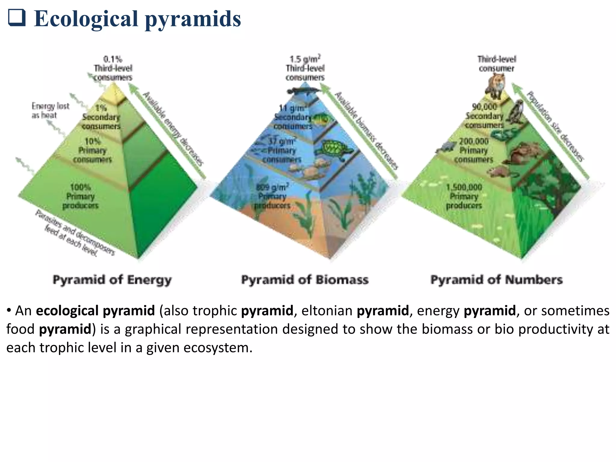  Ecological pyramids
• An ecological pyramid (also trophic pyramid, eltonian pyramid, energy pyramid, or sometimes
food pyramid) is a graphical representation designed to show the biomass or bio productivity at
each trophic level in a given ecosystem.
 
