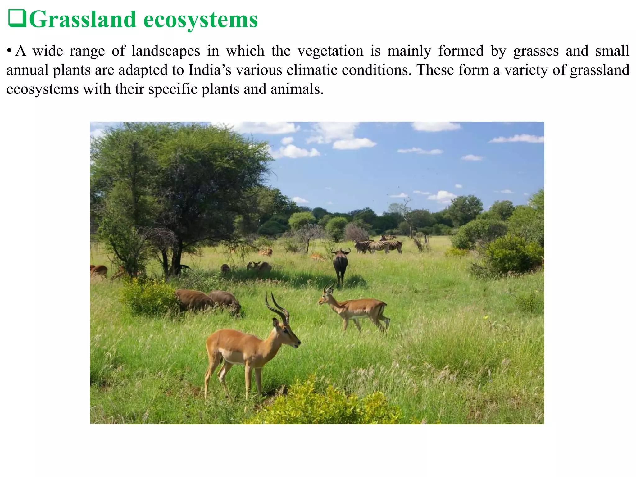 Grassland ecosystems
• A wide range of landscapes in which the vegetation is mainly formed by grasses and small
annual plants are adapted to India’s various climatic conditions. These form a variety of grassland
ecosystems with their specific plants and animals.
 