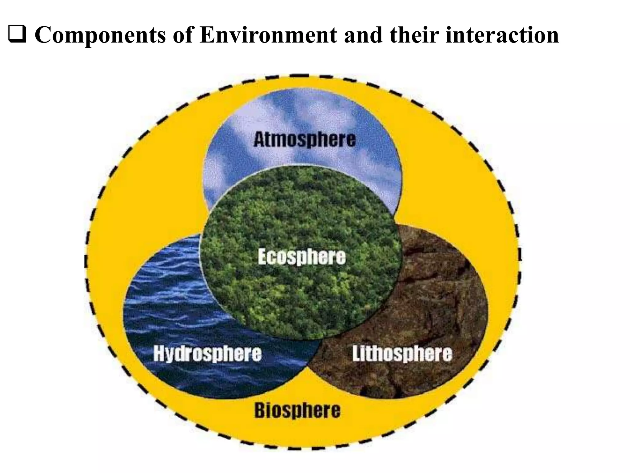  Components of Environment and their interaction
 