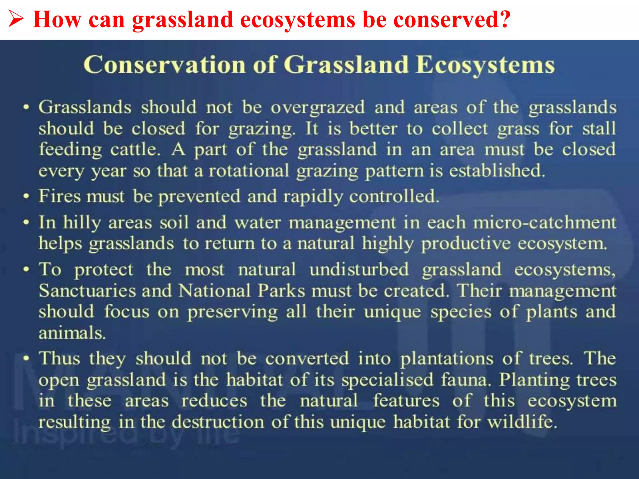  How can grassland ecosystems be conserved?
 