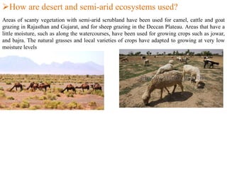 How are desert and semi-arid ecosystems used?
Areas of scanty vegetation with semi-arid scrubland have been used for camel, cattle and goat
grazing in Rajasthan and Gujarat, and for sheep grazing in the Deccan Plateau. Areas that have a
little moisture, such as along the watercourses, have been used for growing crops such as jowar,
and bajra. The natural grasses and local varieties of crops have adapted to growing at very low
moisture levels
 