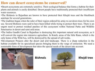 •Desert ecosystems are extremely sensitive. Their ecological balance that forms a habitat for their
plants and animals is easily disturbed. Desert people have traditionally protected their insufficient
water resources.
•The Bishnois in Rajasthan are known to have protected their Khejdi trees and the blackbuck
antelope for several generations.
•The tradition began when the ruler of their region ordered his army to cut down trees for his own
use. Several Bishnois were said to have been killed while trying to protect their trees. There is an
urgent need to protect residual patches of this ecosystem within National Parks and Wildlife
Sanctuaries in desert and semi arid areas.
•The Indira Gandhi Canal in Rajasthan is destroying this important natural arid ecosystem, as it
will convert the region into intensive agriculture. In Kutch, areas of the little Rann, which is the
only home of the Wild Ass, will be destroyed by the spread of salt works.
•Development Projects alter the desert and arid landscape. There is a sharp reduction in the
habitat available for its specialised species bringing them to the verge of extinction. We need a
sustainable form of development that takes the special needs of the desert into account.
How can desert ecosystems be conserved?
Bishnois Khejdi tree
 