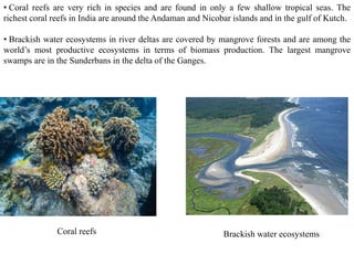• Coral reefs are very rich in species and are found in only a few shallow tropical seas. The
richest coral reefs in India are around the Andaman and Nicobar islands and in the gulf of Kutch.
• Brackish water ecosystems in river deltas are covered by mangrove forests and are among the
world’s most productive ecosystems in terms of biomass production. The largest mangrove
swamps are in the Sunderbans in the delta of the Ganges.
Coral reefs Brackish water ecosystems
 